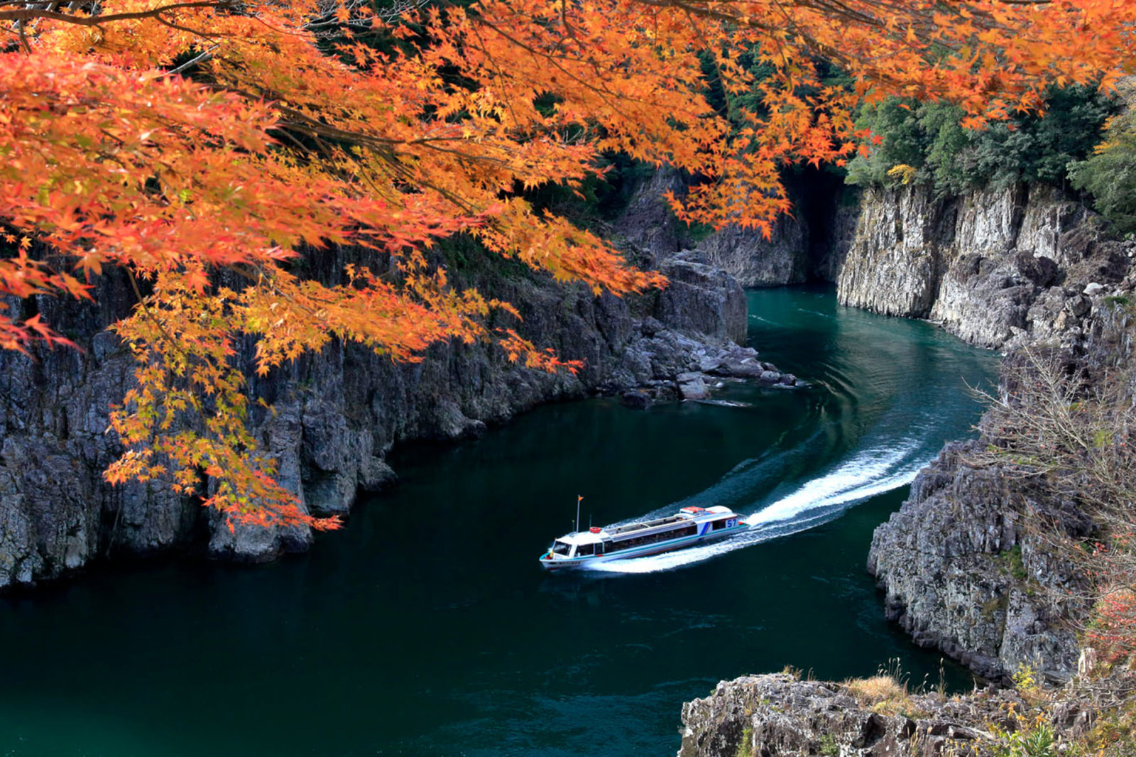 わかやま観光 瀞峡めぐりウォータージェット船 和歌山県公式観光サイト