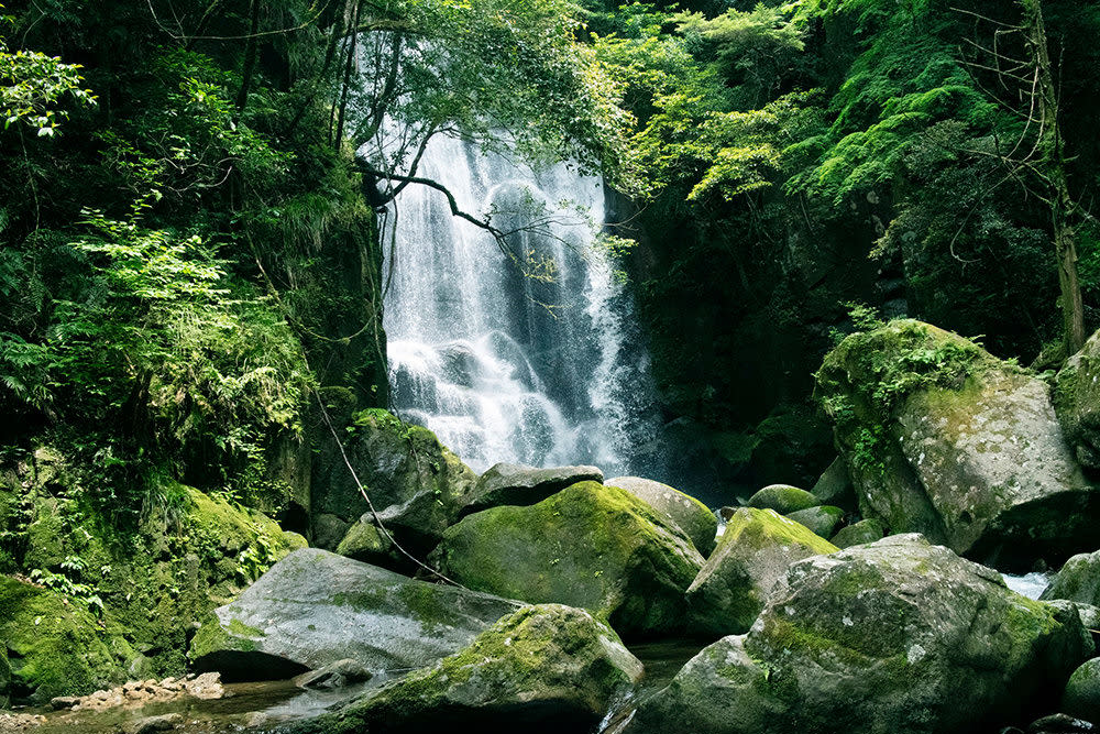 桑の木の滝