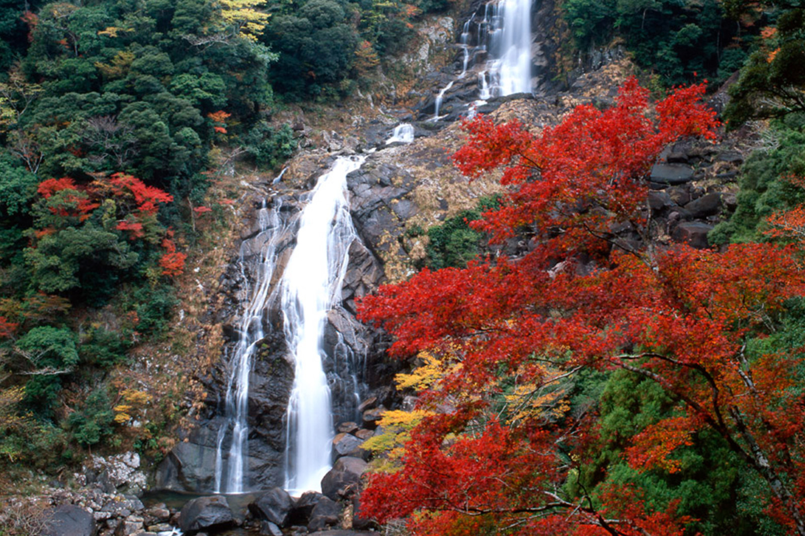 鼻白の滝 観光スポット 体験 和歌山県公式観光サイト