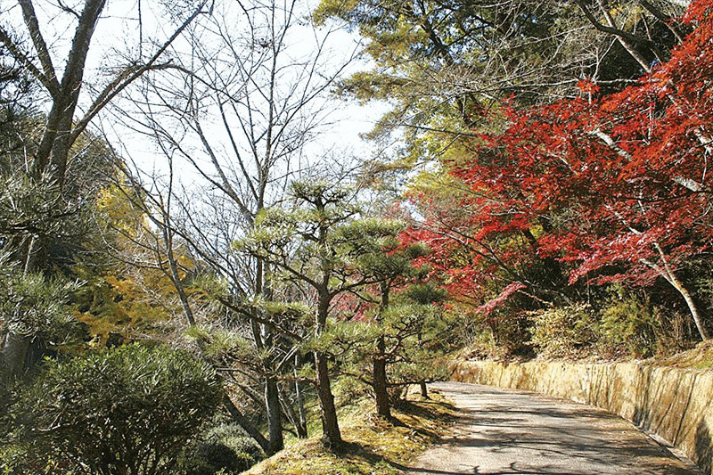 わかやま観光 杉村公園 和歌山県公式観光サイト