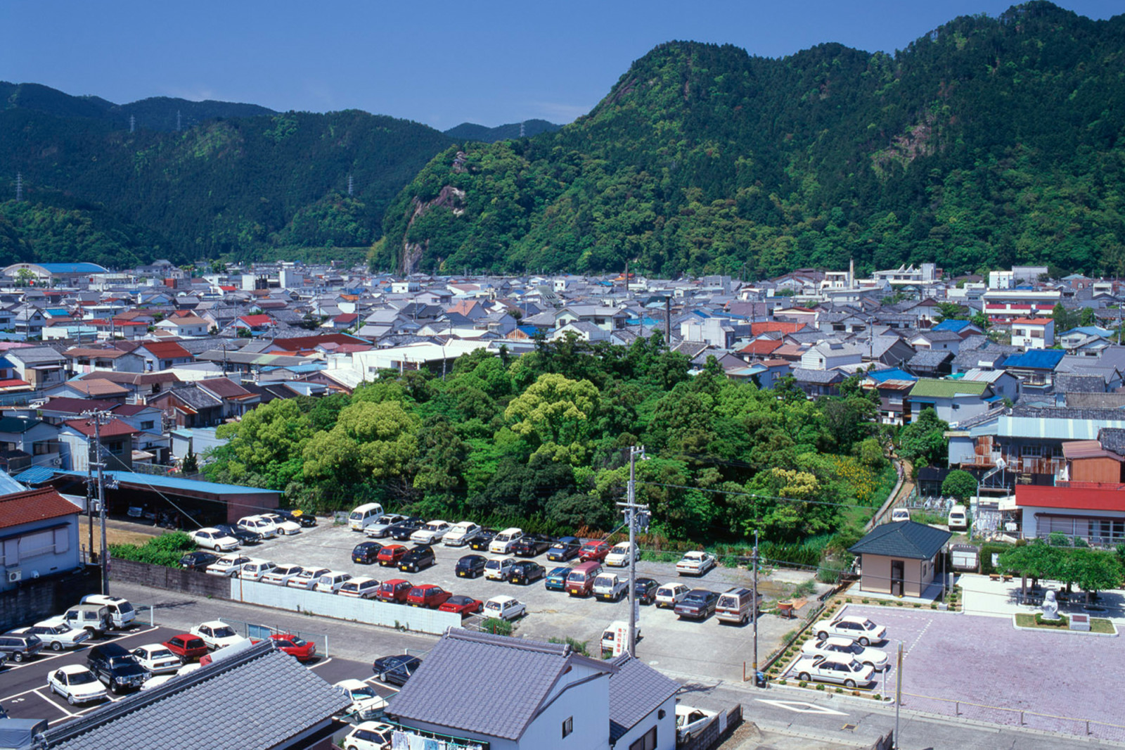 わかやま観光 浮島の森 和歌山県公式観光サイト