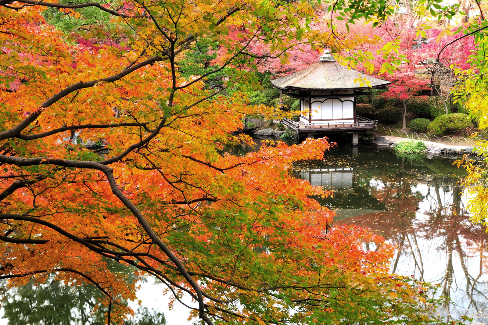 わかやま観光 名勝 西之丸庭園 紅葉渓庭園 和歌山県公式観光サイト