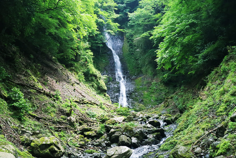 有田川町　さがり滝