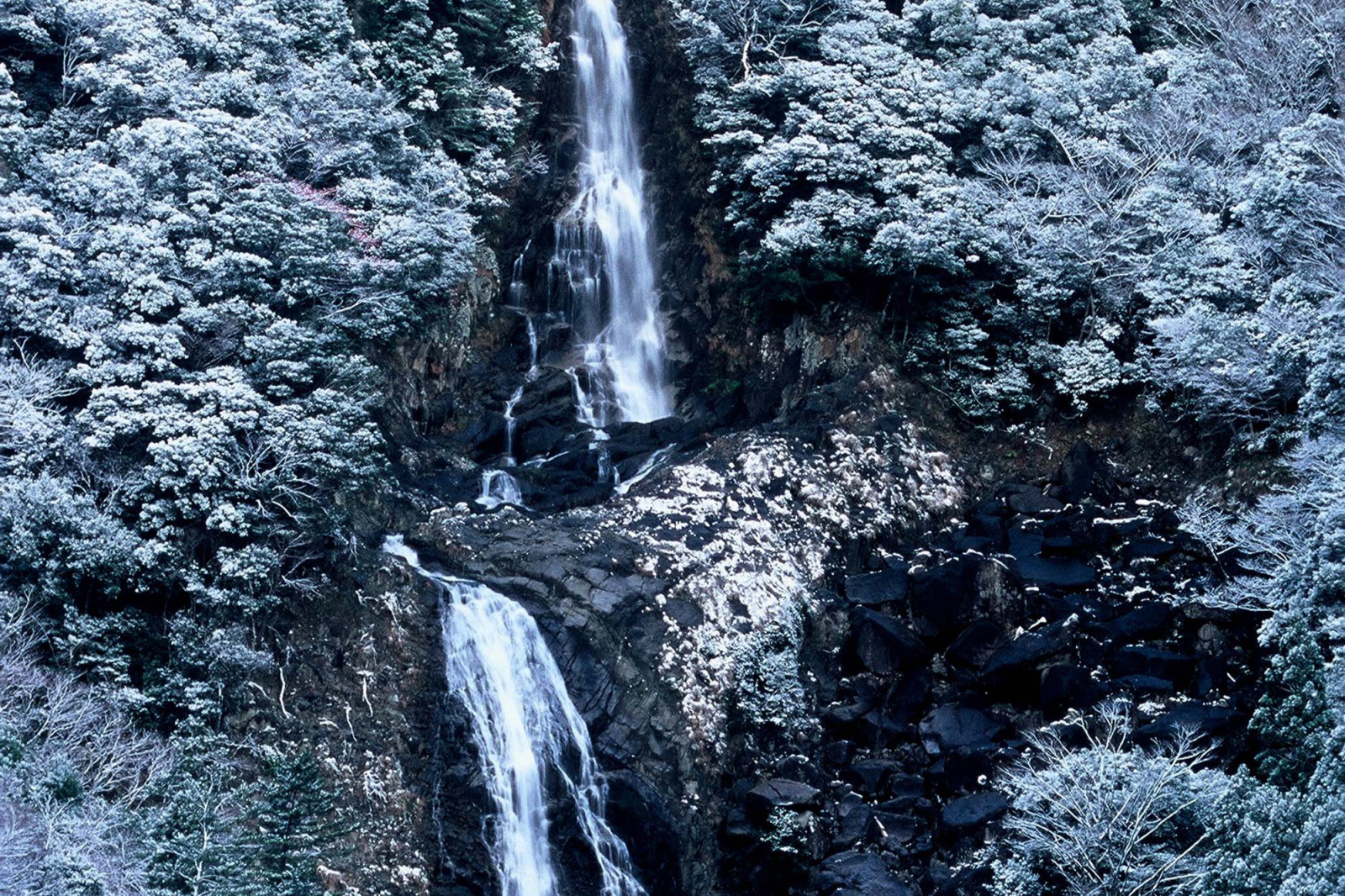 鼻白の滝 観光スポット 体験 和歌山県公式観光サイト