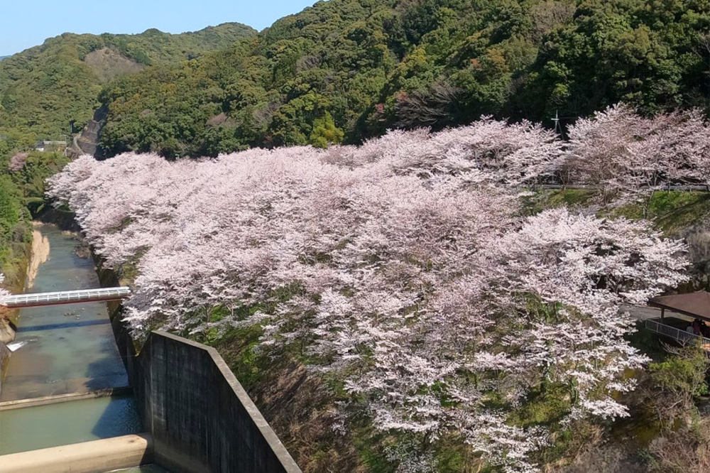 広川ダム