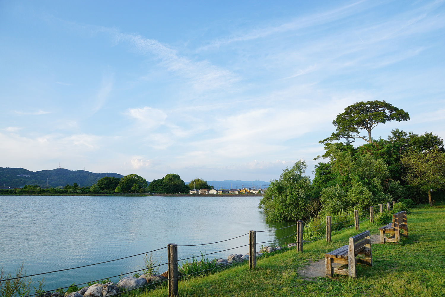 わかやま観光 平池緑地公園 | 和歌山県公式観光サイト