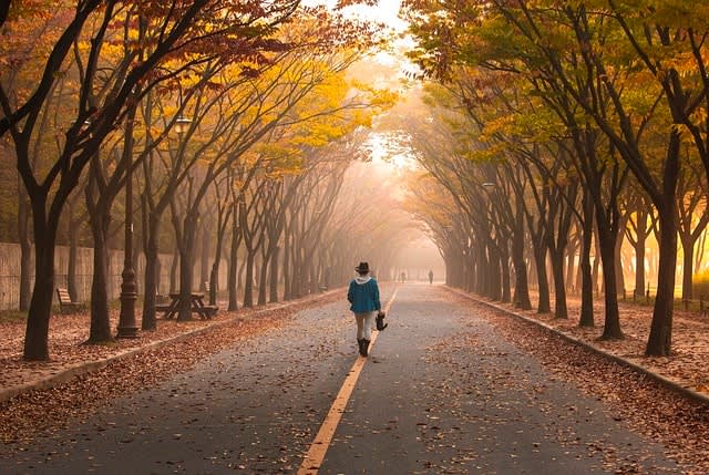 Morning walk