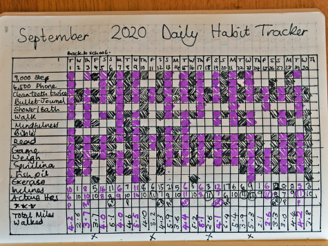 Bullet journal for habit tracking