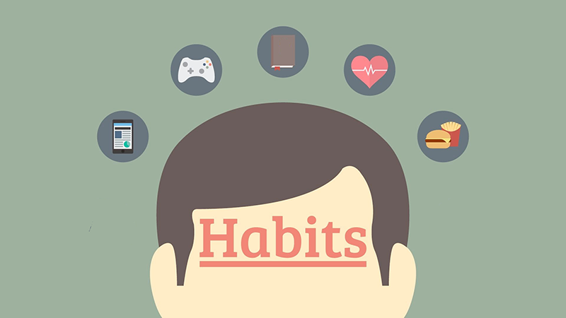 Habits and life cores