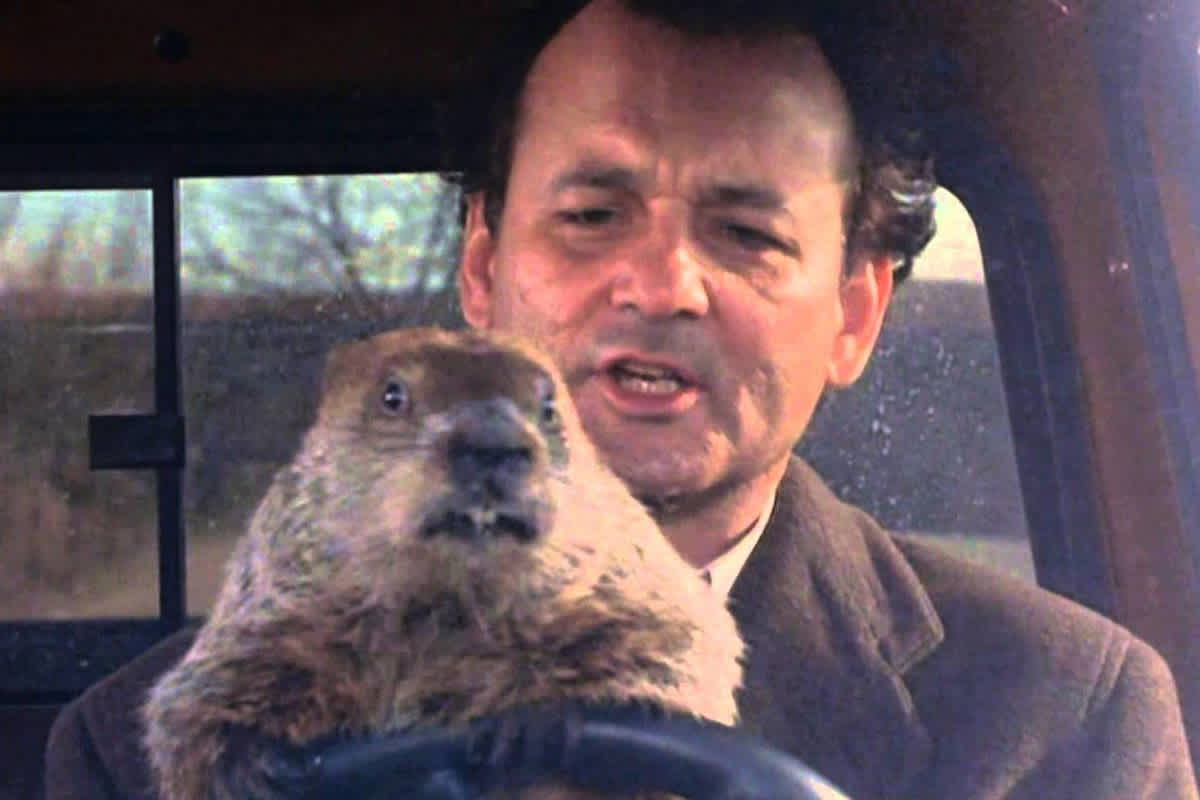 Man with an otter in a car