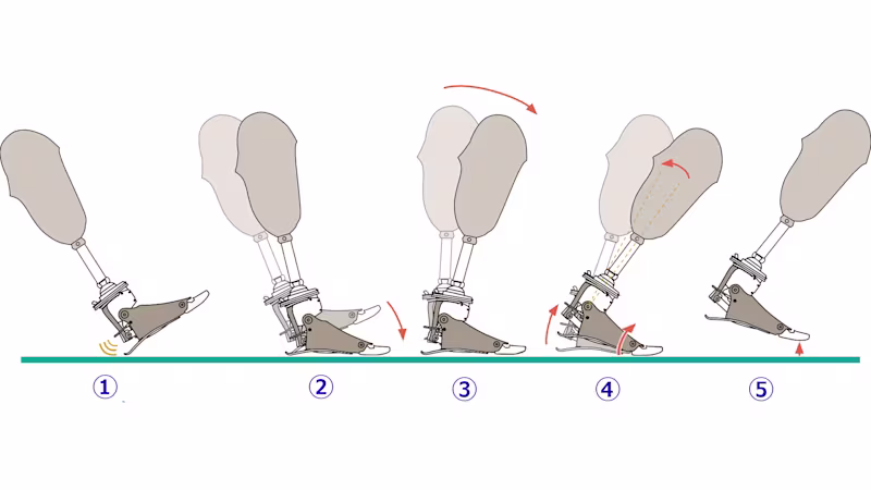 義足 コンピューター制御足部 Meridiumメリディウム 歩行仕組み