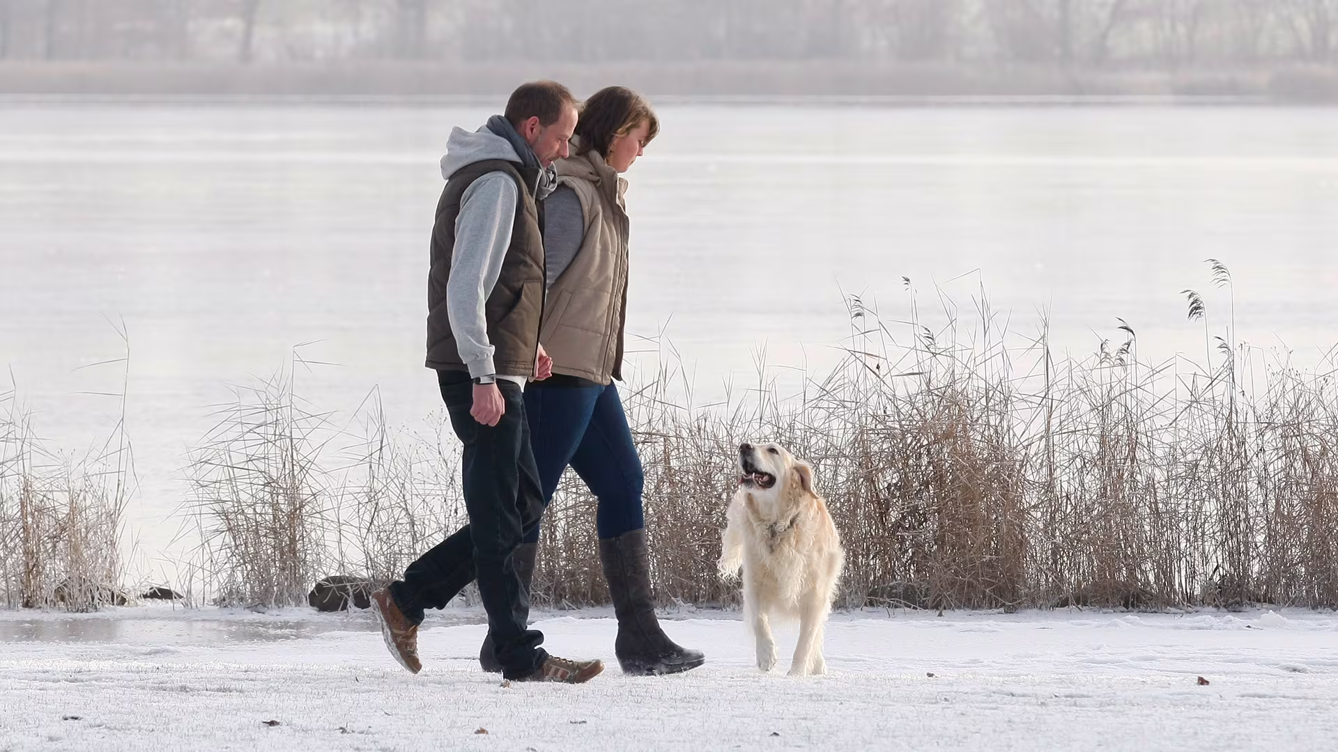 -30290 D2 68715--169-col(4779426) en