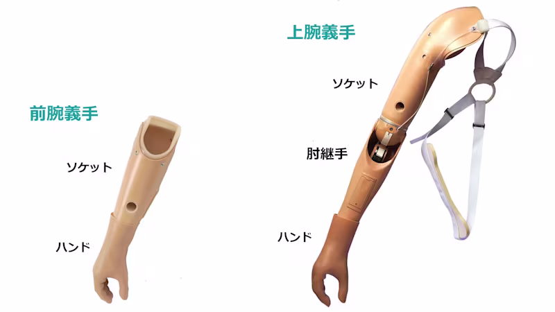 upper-p structure_JA-JP