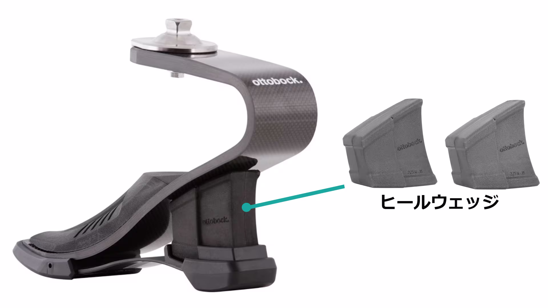義足足部 1E95チャレンジャー 構造