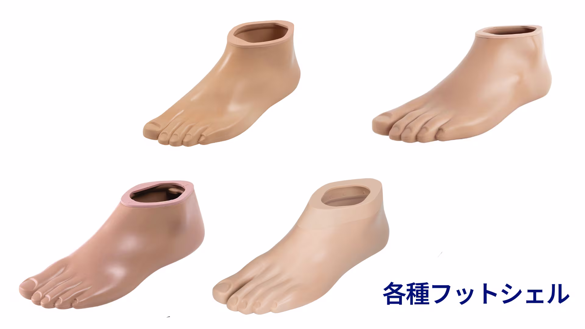 list footshell_JA-JP