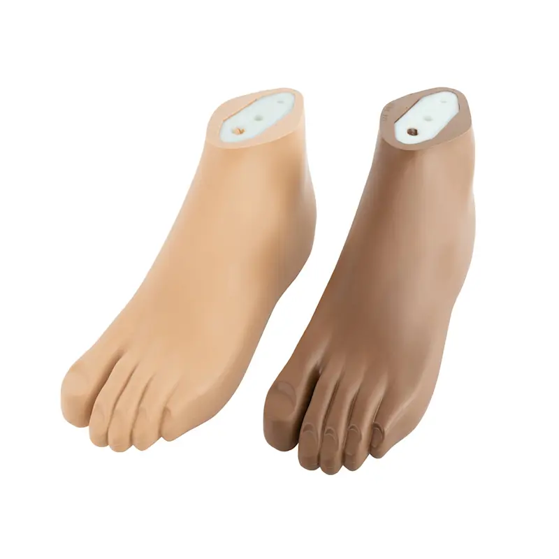 Senator Foot The prosthetic foot makes a difference for your fitting success