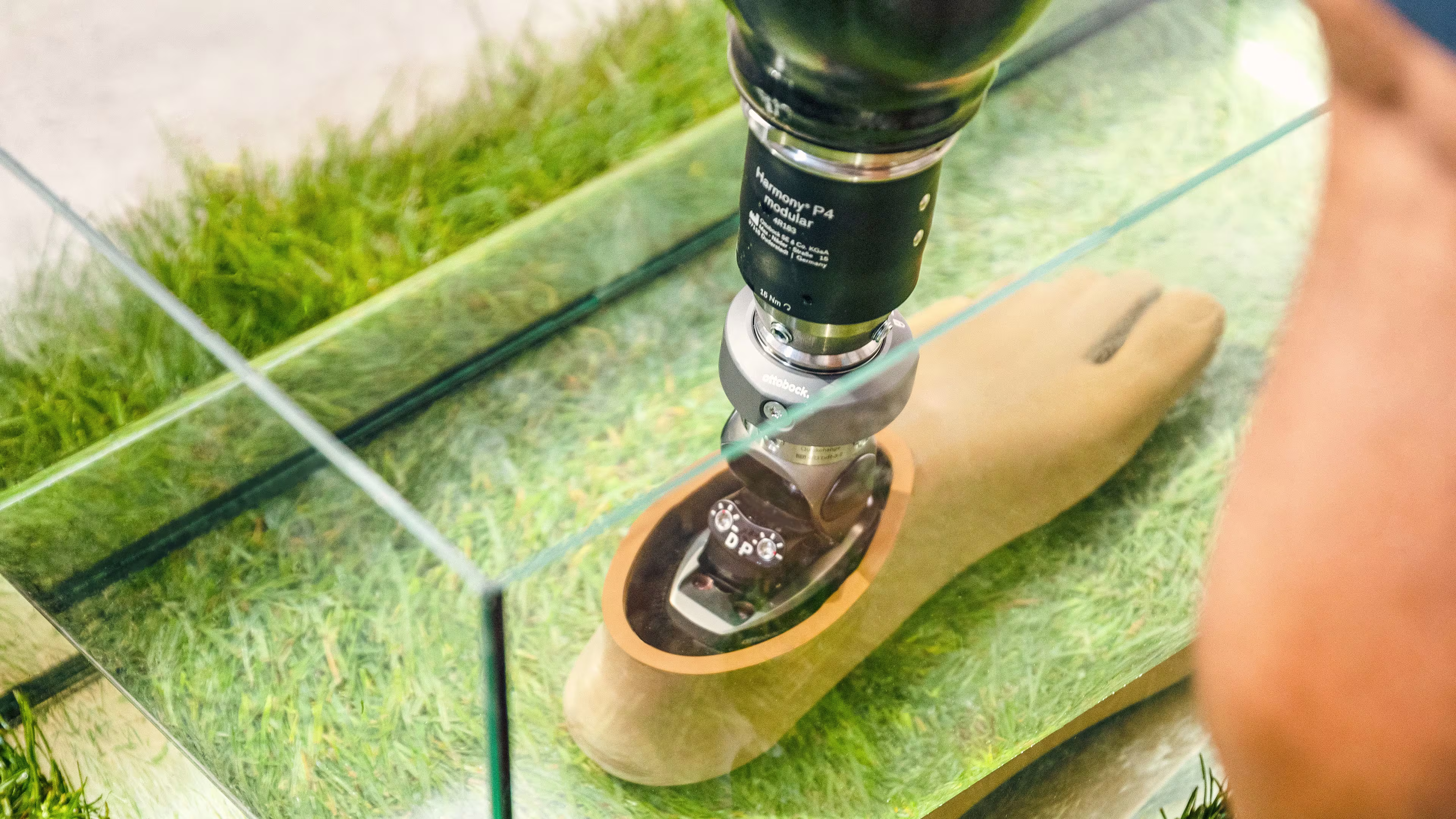 Ottobock Taleo Adapt prosthetic foot with footshell standing in a glass tank