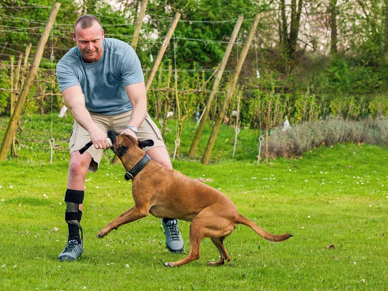 28U24 ウォークオン リアクション