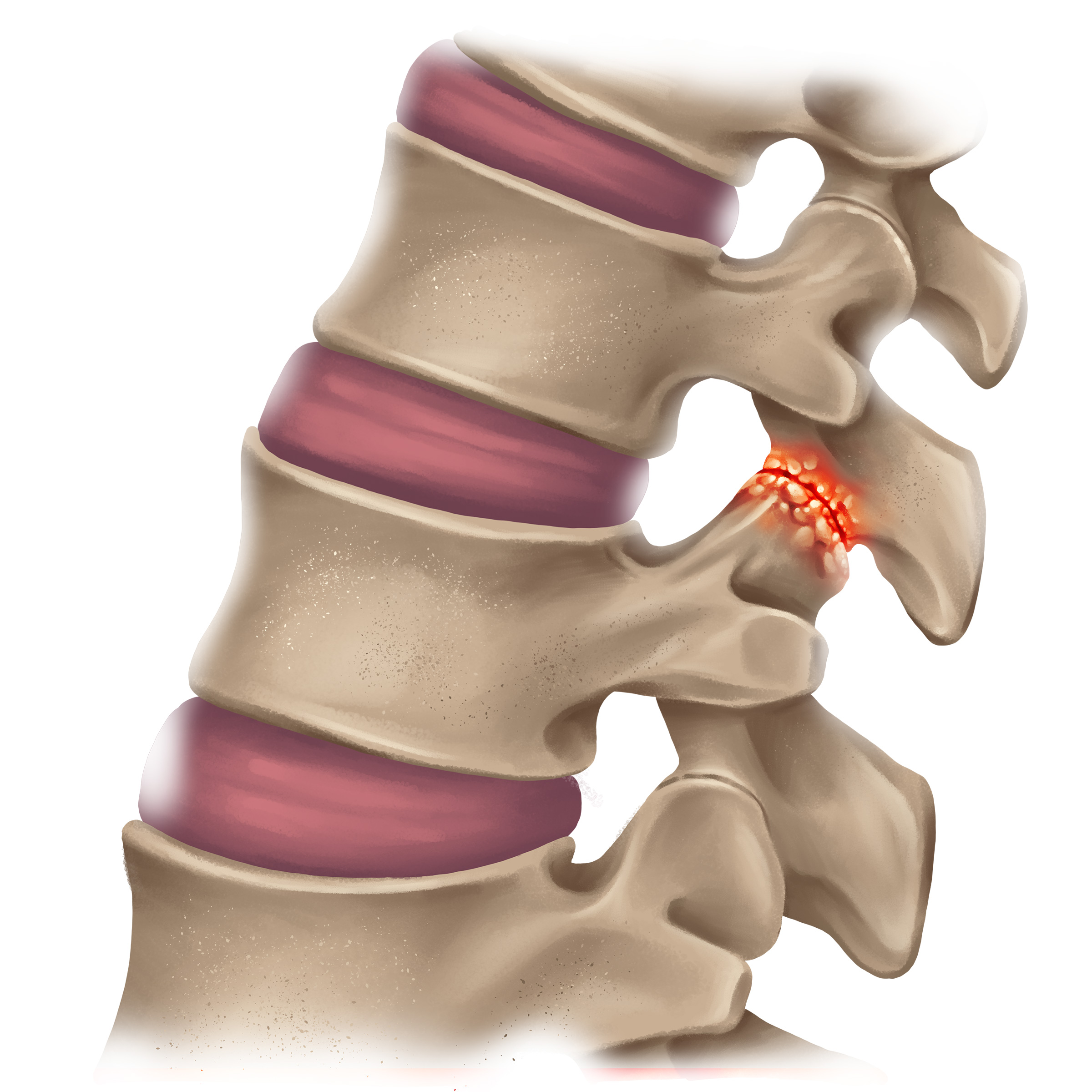 2756457--11-col(2759295) en