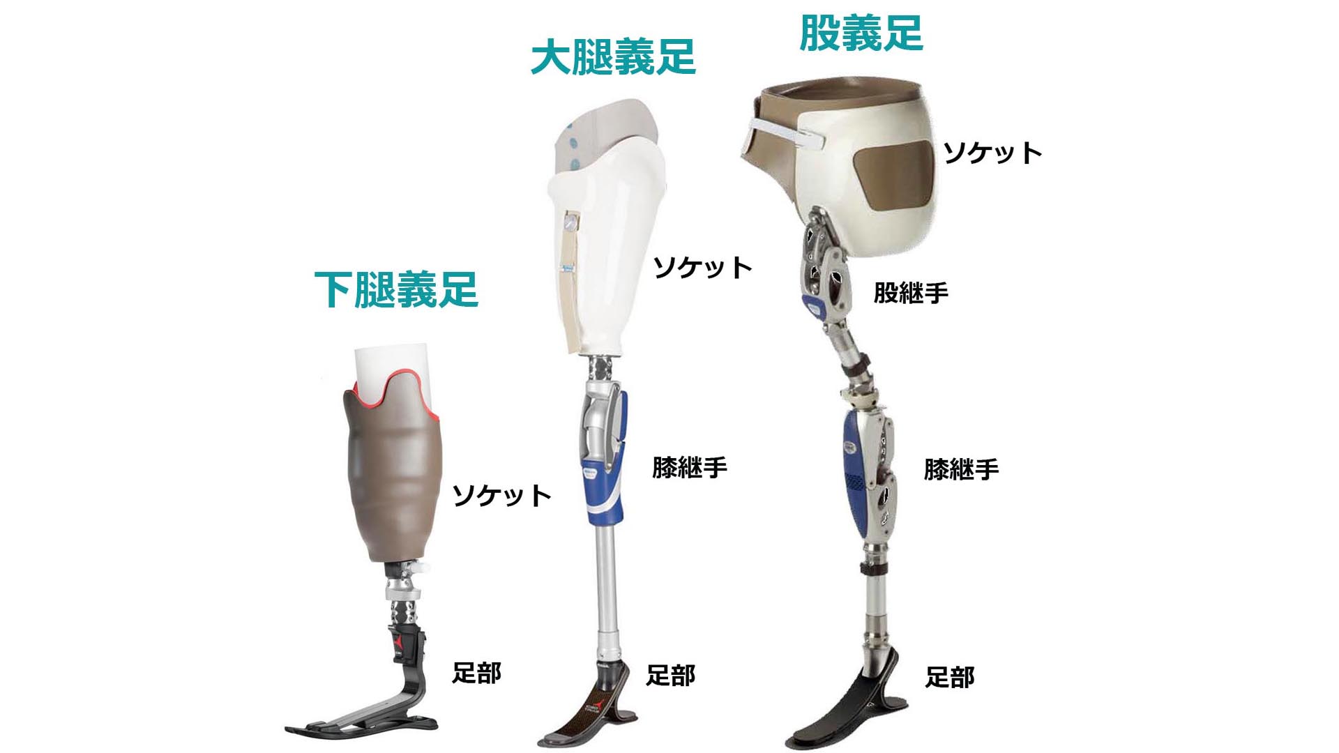 はじめての義足 よくある質問