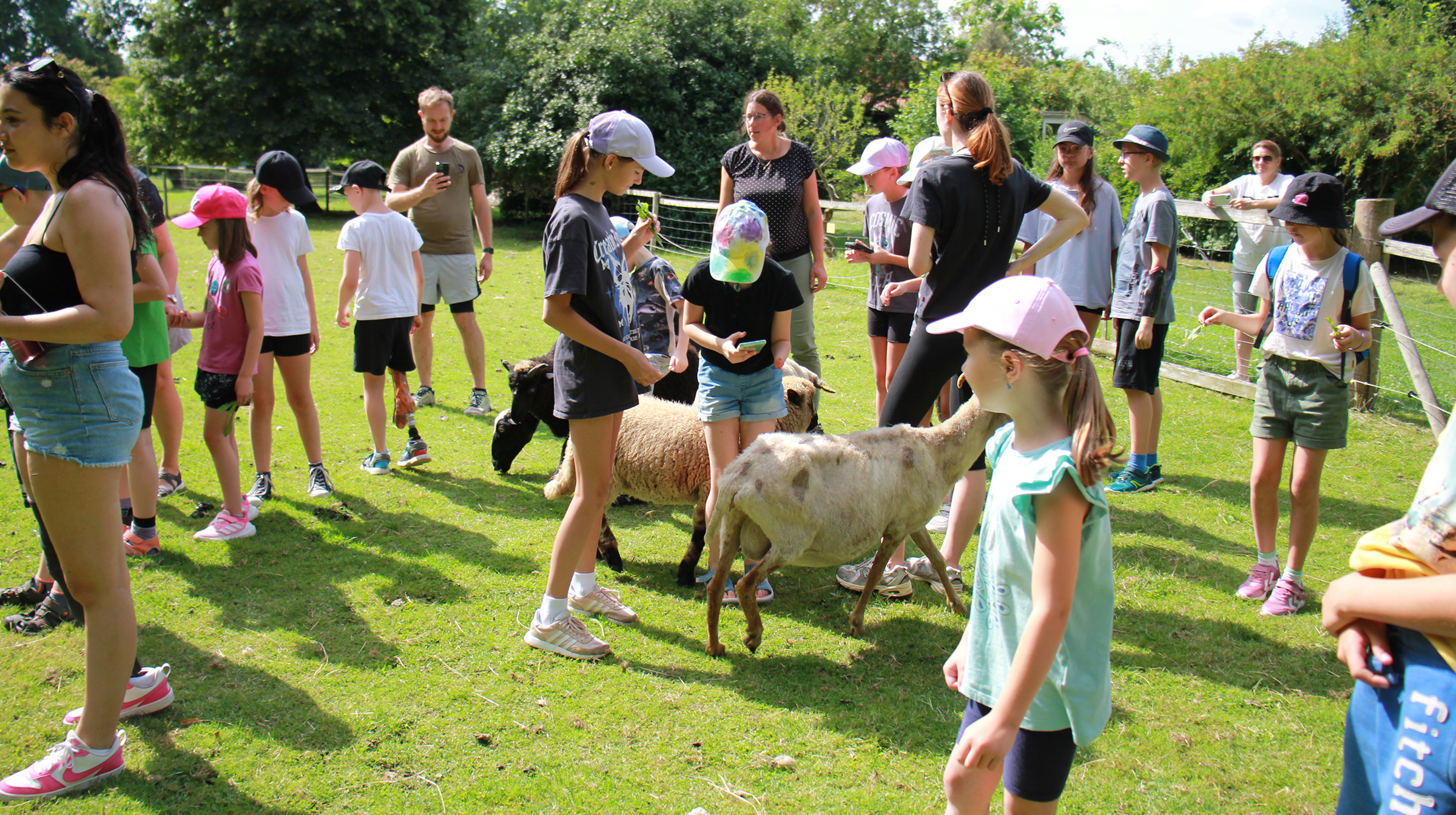 Tábor-Pohoda-v-Proudu-2025-2400x1344-1