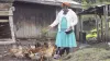 Kenya Agnes farming