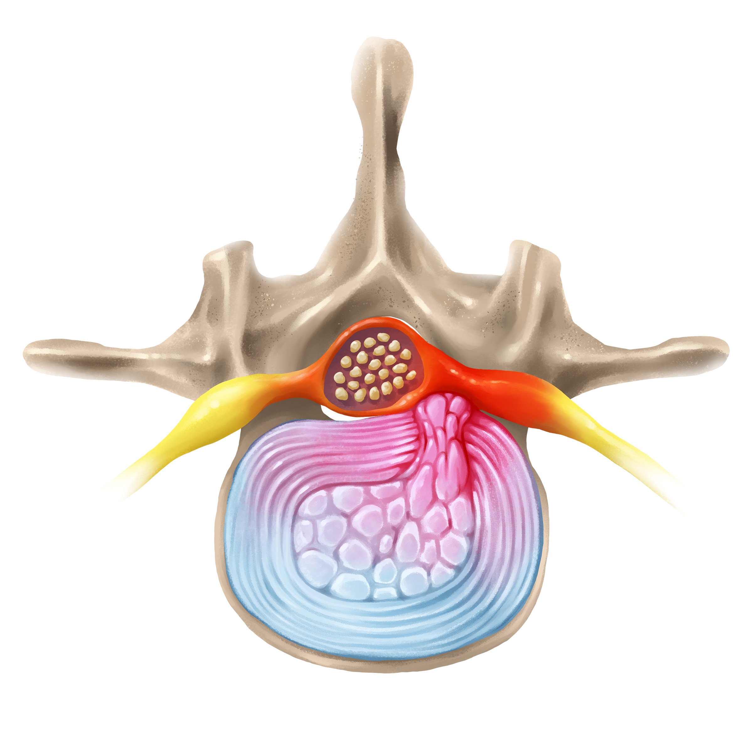 2756453--11-col(2759303) en