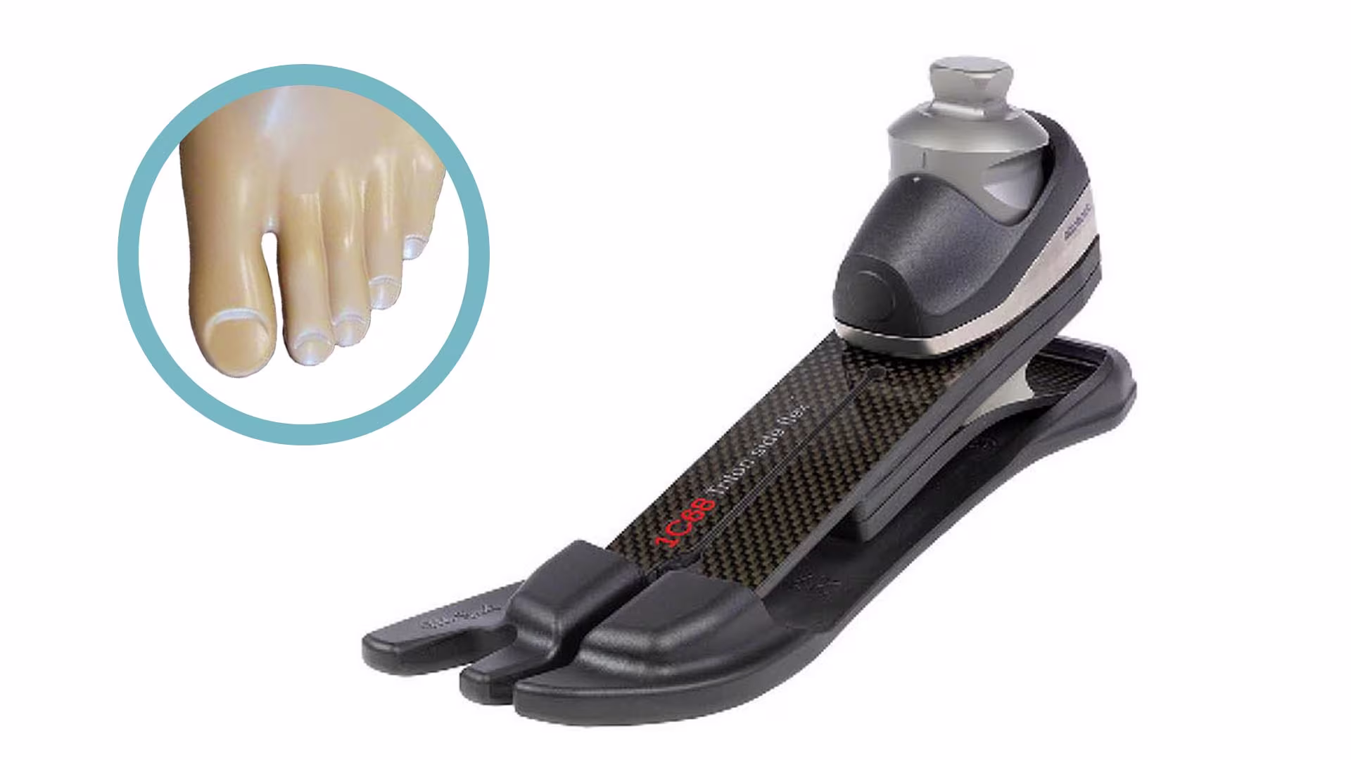 義足足部1C68トリトンサイドフレックス カーボン構造 20度の横の動き