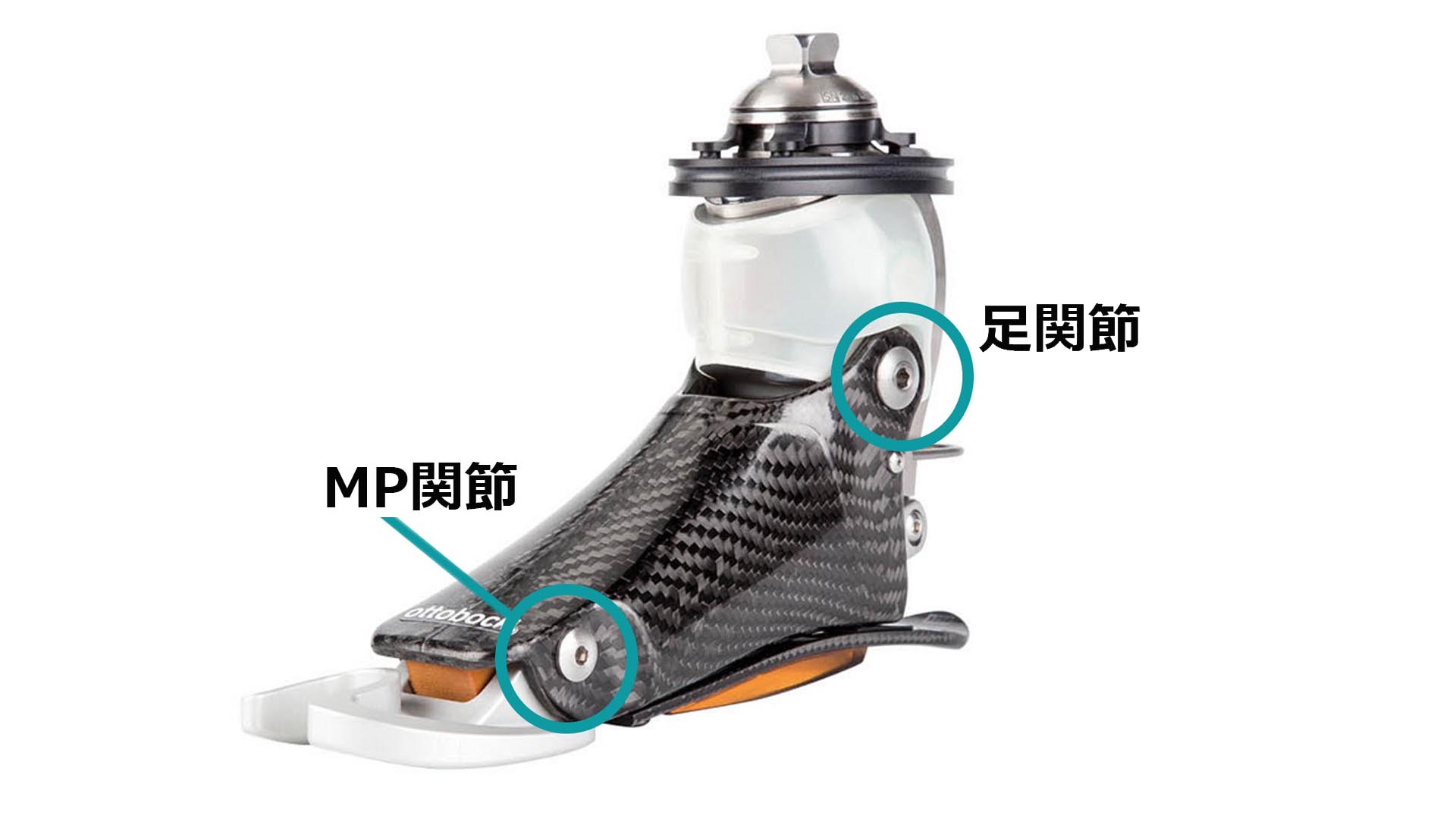 義足 コンピューター制御足部 Meridiumメリディウム 構造