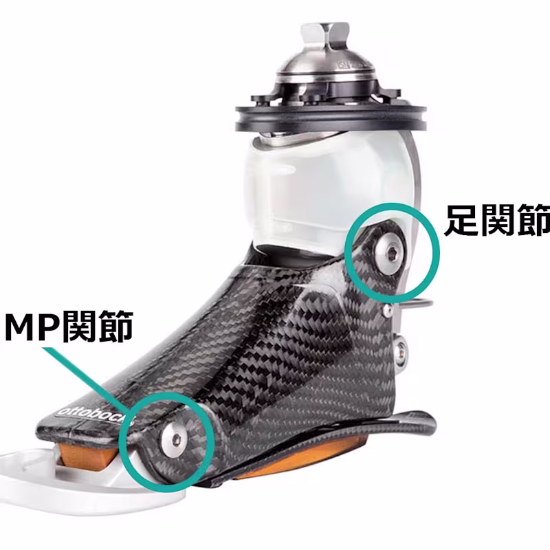 義足 コンピューター制御足部 Meridiumメリディウム 構造