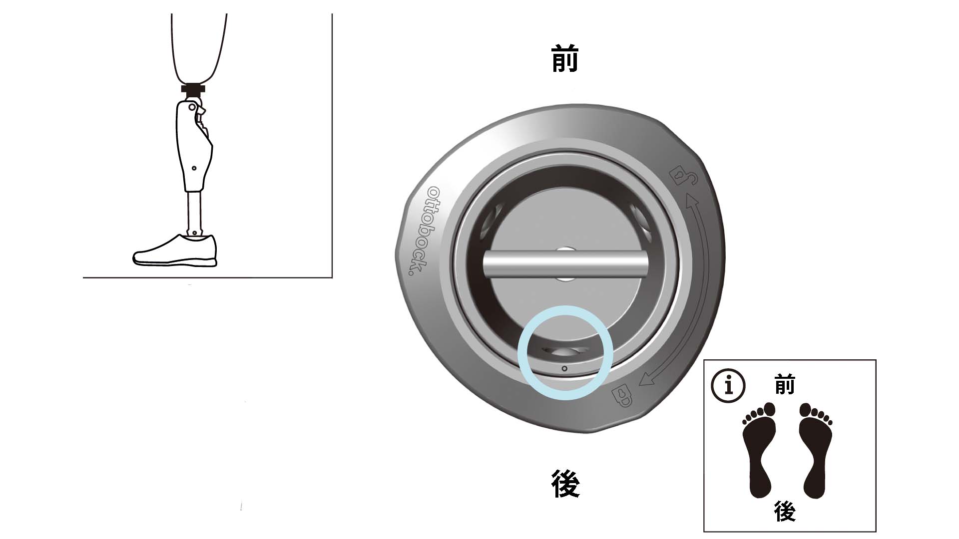義足アダプター：4R11着脱アダプター