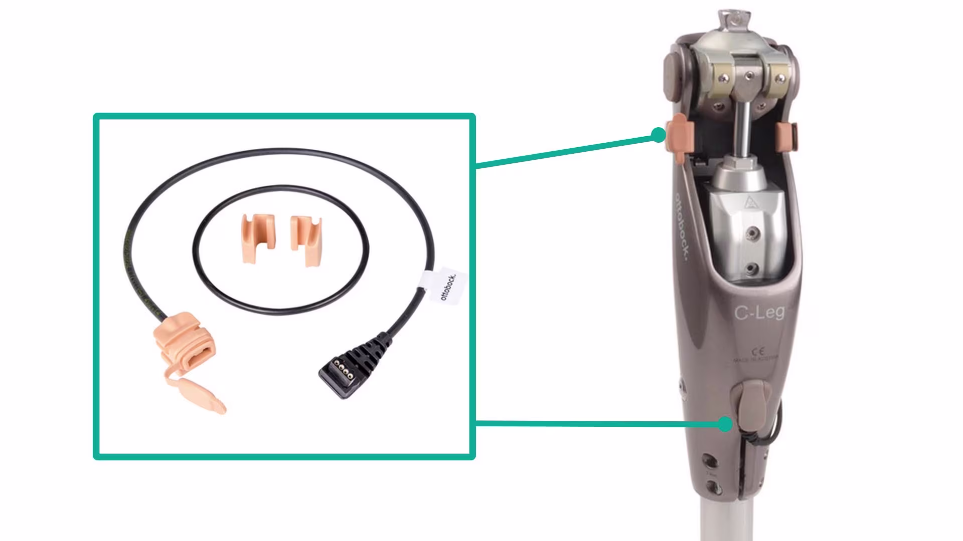4X157充電延長ケーブル 義足外装3F1ファンクショナルコスメチック C-Leg4/Genium用フォームカバー 外観が自然で綺麗 ニーリング 膝立ち