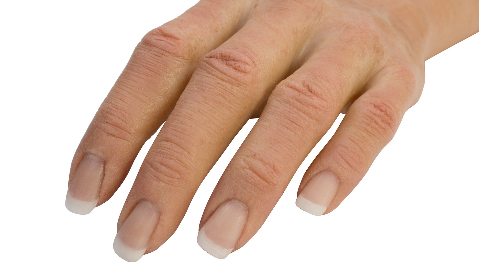 Una mano de silicona con detalles de uñas