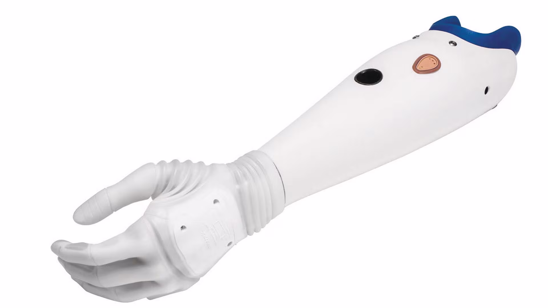 筋電義手 ミケランジェロMichelangelo 構造と仕組み