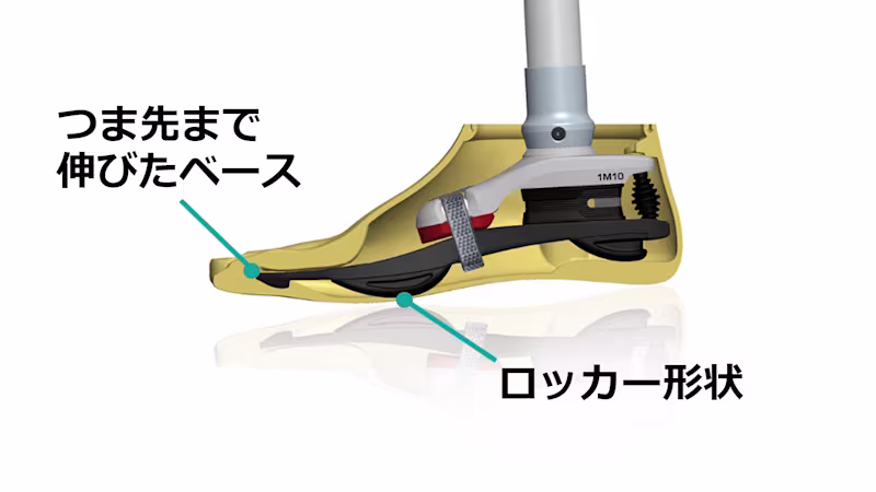 1M10 structure_JA-JP