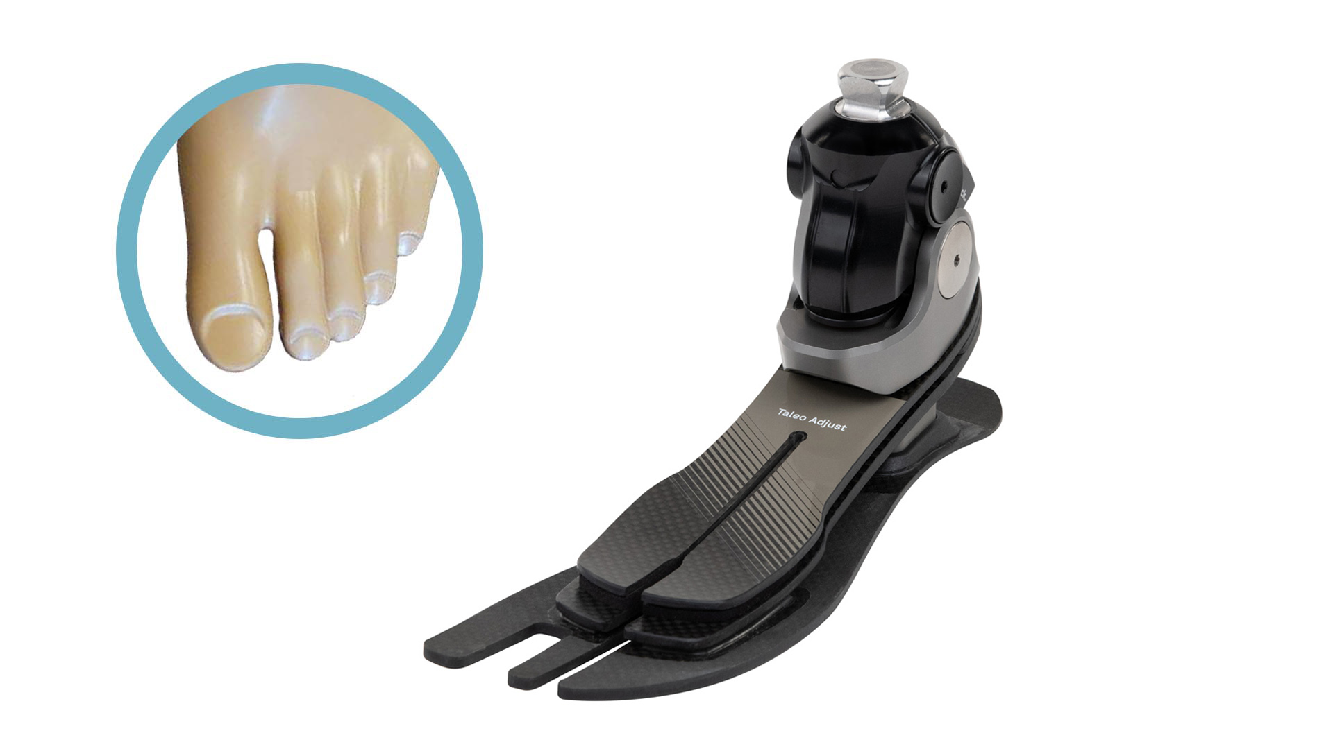 右足義足 1c56_product_toe.jpg