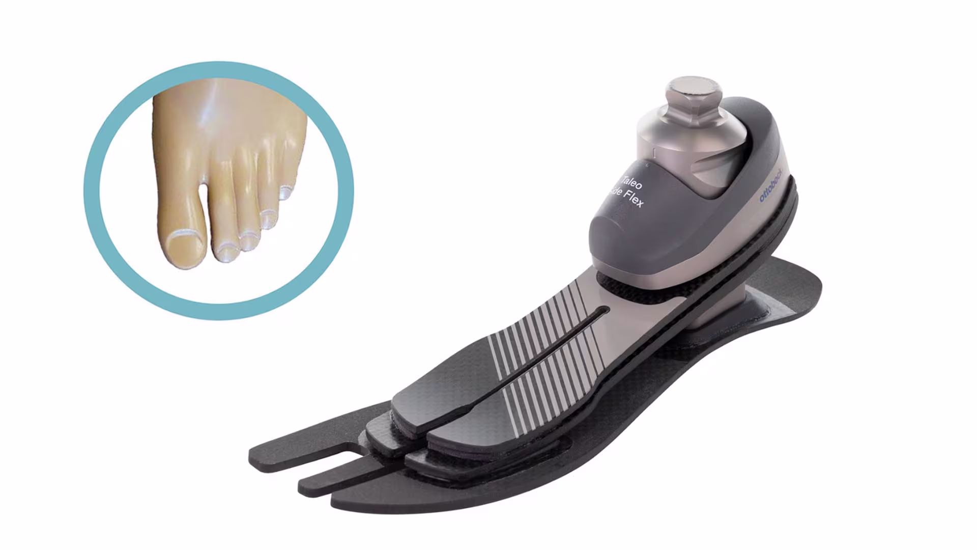 義足足部1C58タレオサイドフレックス カーボン構造 指股付き