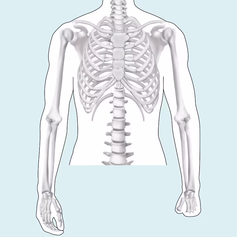 FirstSpiritExport,OBISCM-1557,web_site,prosthetics_2,infos_for_amputees
