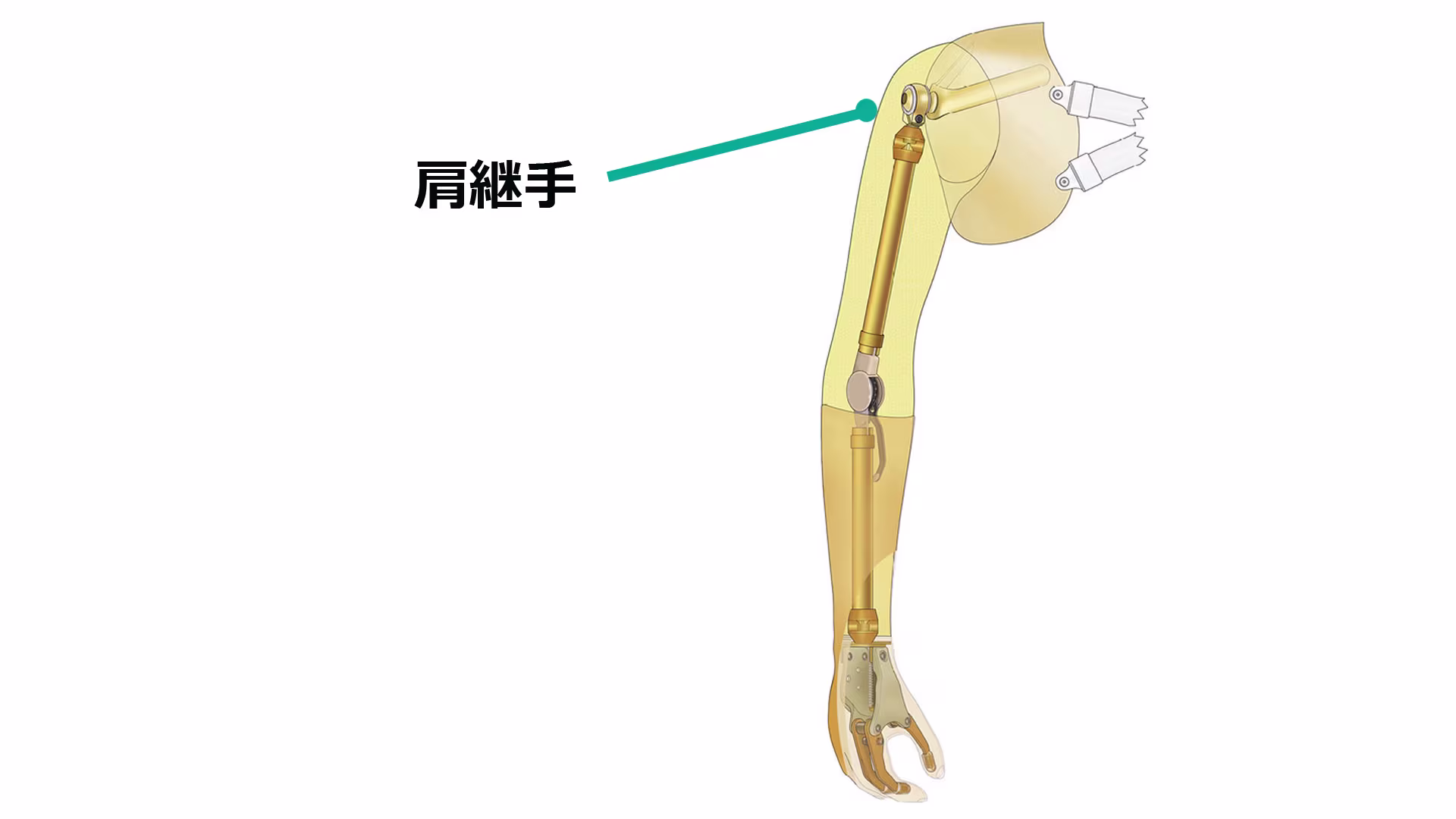 義手パーツ 構造と仕組み 肩継手 骨格構造/殻構造 12S6/12S7/12S4 屈曲/伸展 外転/内転