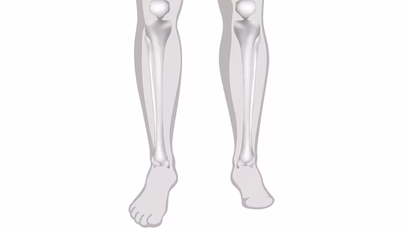 義足 切断レベル 足部での切断