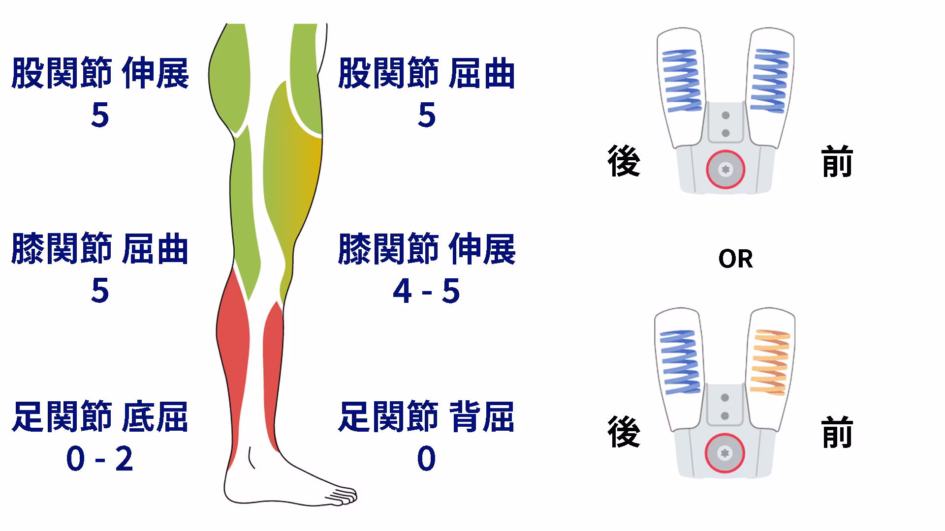 tango 17AD300 user2_JA-JP