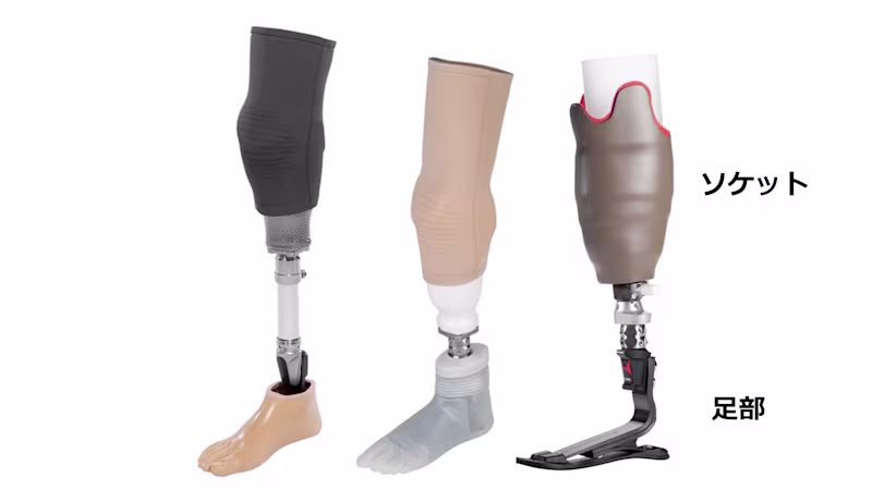 専門用語 下腿義足ソケット/足部/アダプター