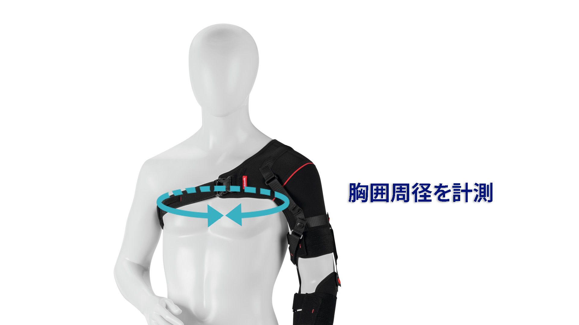 オモニューレクサ サイズ 胸囲周径