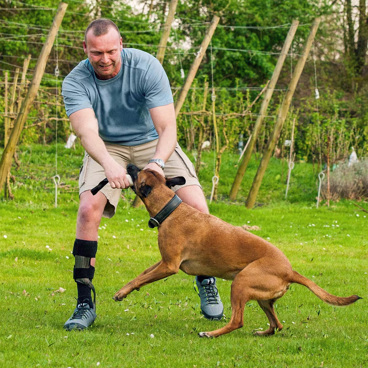 犬と遊ぶ男性はウォークオンリアクションを装着しています。