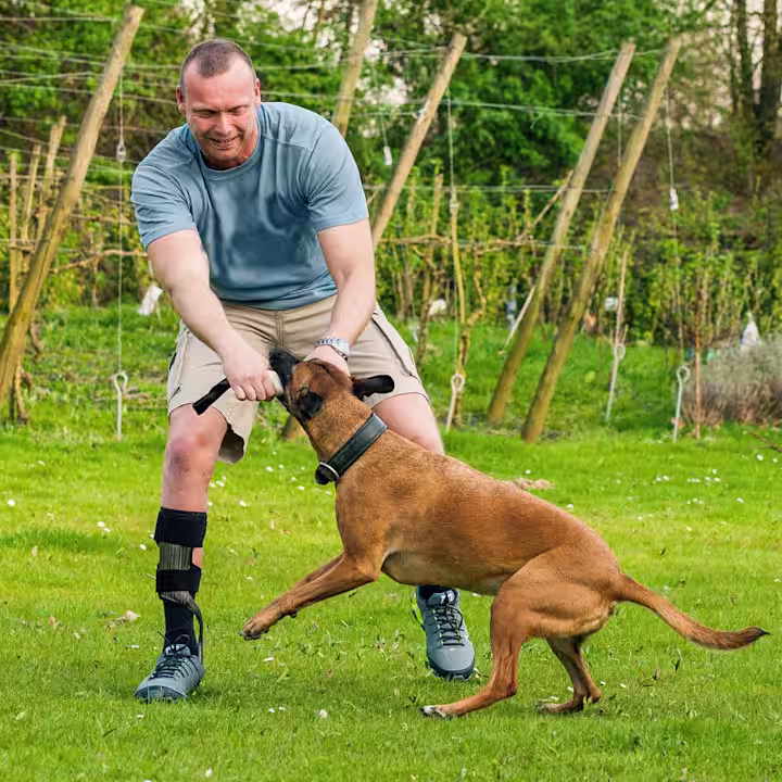 犬と遊ぶ男性はウォークオンリアクションを装着しています。