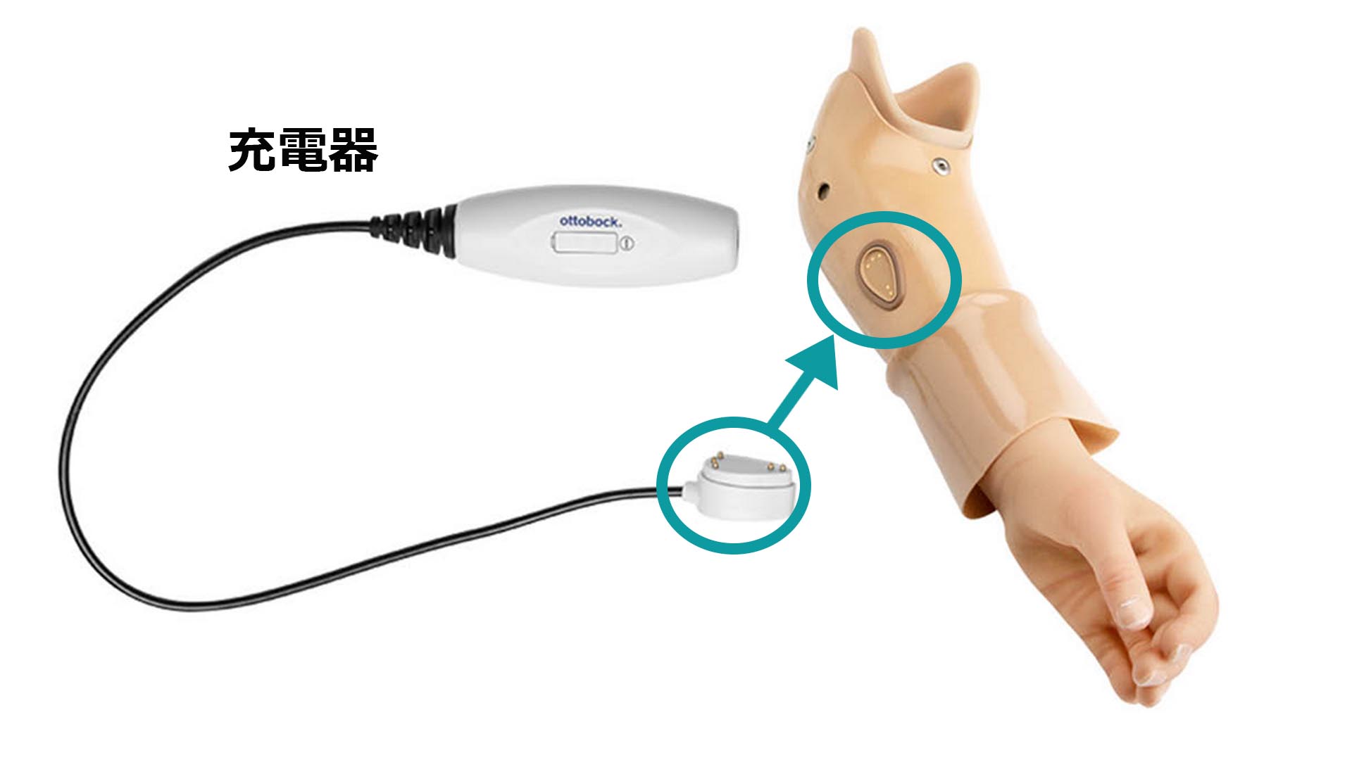 筋電義手 マイオボックシステム小児用 Myolinoマイオリノ 充電