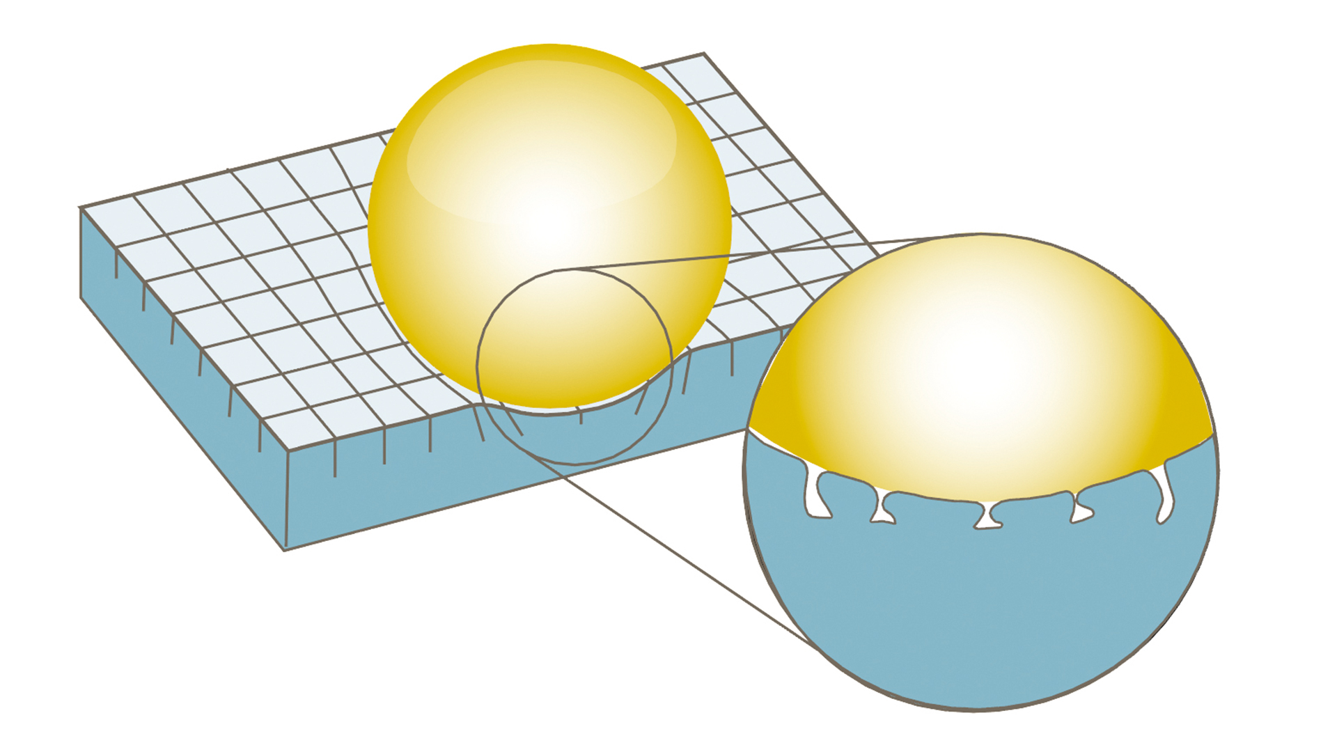 オットーボック クッション：　エボライト