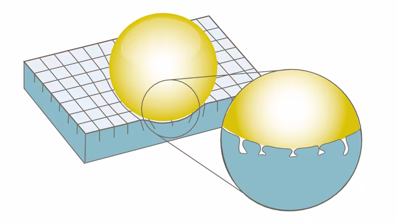 オットーボック クッション: エボライト