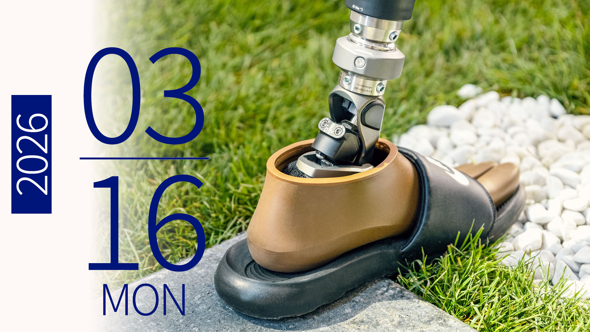 seminar NEW-online 260316_JA-JP