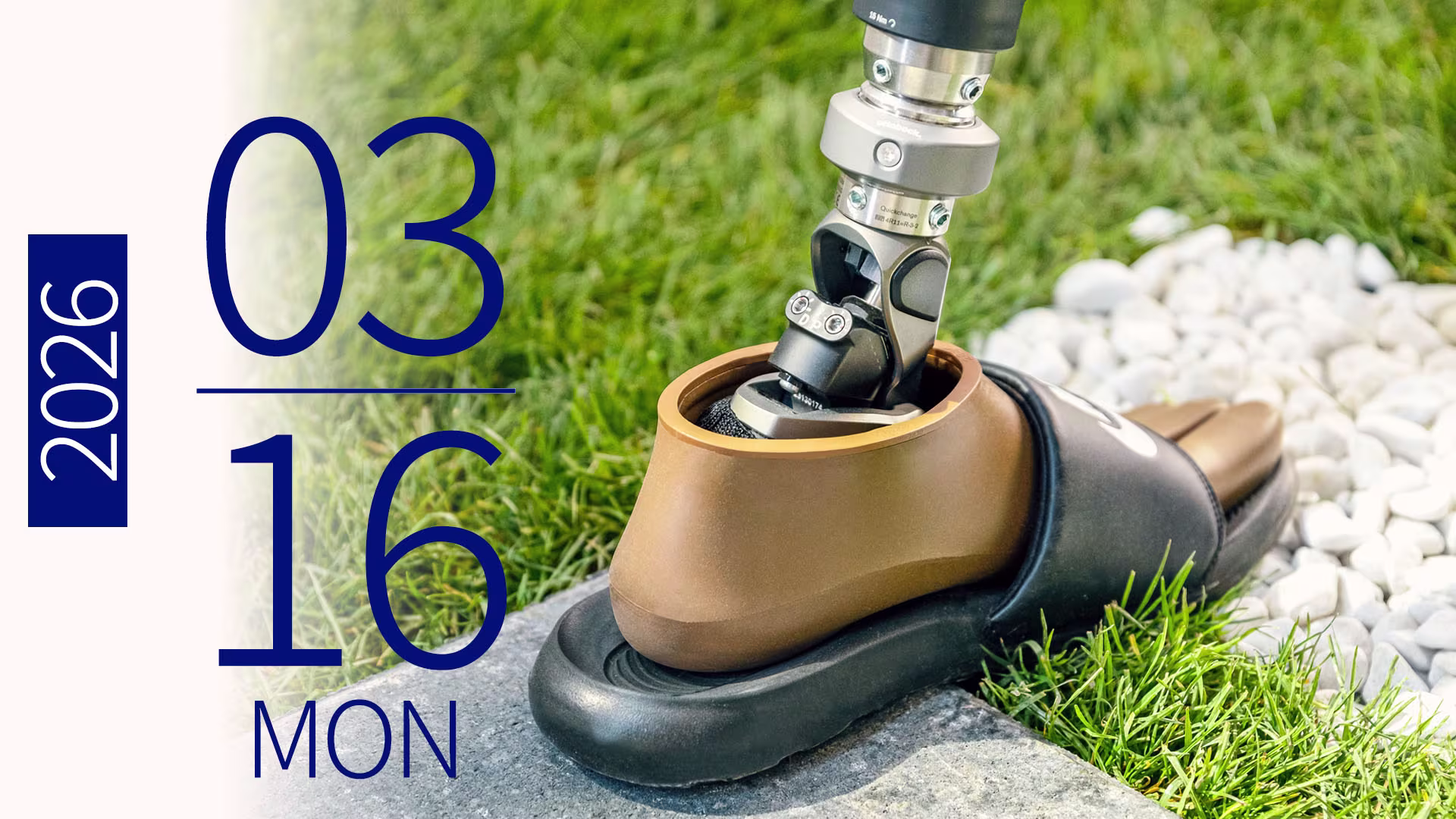 seminar NEW-online 260316_JA-JP